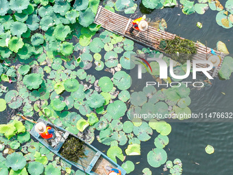 River cleaners are performing daily cleaning at Miaoqiantou River in Dongheng Village, Huzhou City, East China's Zhejiang Province, on Augus...