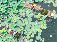 River cleaners are performing daily cleaning at Miaoqiantou River in Dongheng Village, Huzhou City, East China's Zhejiang Province, on Augus...