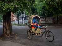 A rickshaw puller is tapping his phone while resting in his rickshaw in Dhaka, Bangladesh, on August 13, 2024. (