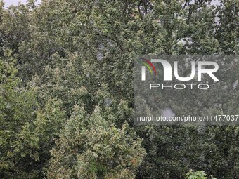 A general view of the mountains is showing rain in Bergamo, Italy, on August 13, 2024 (