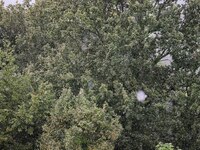 A general view of the mountains is showing rain in Bergamo, Italy, on August 13, 2024 (