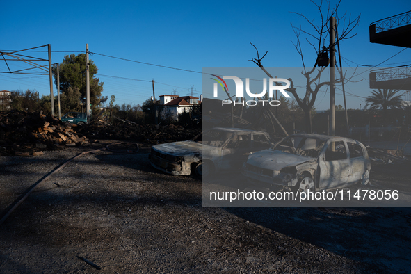 Destroyed cars are sitting in a lumber warehouse in the Vrilissia area, due to the fire that is breaking out in Athens, Greece, on August 11...