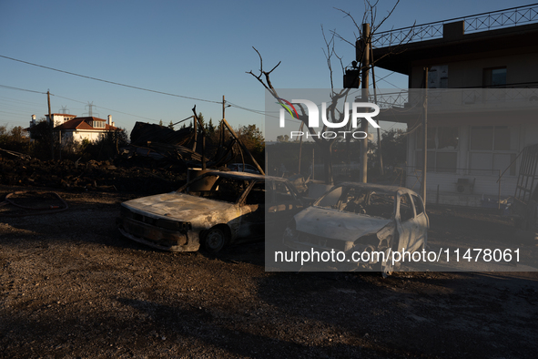 Destroyed cars are sitting in a lumber warehouse in the Vrilissia area, due to the fire that is breaking out in Athens, Greece, on August 11...