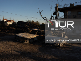 Destroyed cars are sitting in a lumber warehouse in the Vrilissia area, due to the fire that is breaking out in Athens, Greece, on August 11...