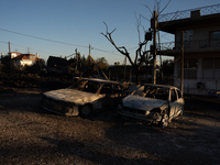 Destroyed cars are sitting in a lumber warehouse in the Vrilissia area, due to the fire that is breaking out in Athens, Greece, on August 11...