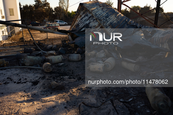 Gas cylinders are exploding in a lumber warehouse in the Vrilissia area, due to the fire that is breaking out in Athens, Greece, on August 1...