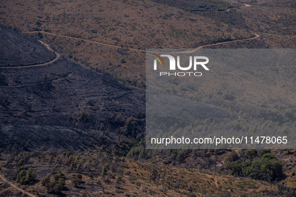 The ground is burning after a fire that broke out in Athens, Greece, on August 11, 2024. The photo is showing land that had been burned in a...