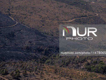 The ground is burning after a fire that broke out in Athens, Greece, on August 11, 2024. The photo is showing land that had been burned in a...