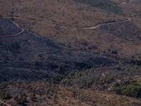 The ground is burning after a fire that broke out in Athens, Greece, on August 11, 2024. The photo is showing land that had been burned in a...