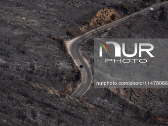 A car is driving through a road in the burnt Penteli mountain, a day after the devastating fire that broke out in Athens, Greece, on August...