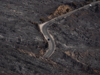 A car is driving through a road in the burnt Penteli mountain, a day after the devastating fire that broke out in Athens, Greece, on August...