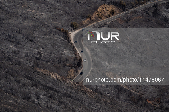 Cars are driving through a road in the burnt Penteli mountain, a day after the devastating fire that broke out in Athens, Greece, on August...