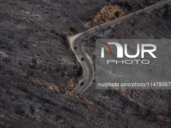 Cars are driving through a road in the burnt Penteli mountain, a day after the devastating fire that broke out in Athens, Greece, on August...