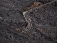 Cars are driving through a road in the burnt Penteli mountain, a day after the devastating fire that broke out in Athens, Greece, on August...