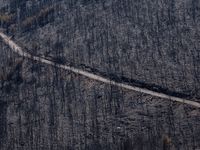 A road is winding through the burnt Penteli mountain, a day after the devastating fire that broke out in Athens, Greece, on August 11, 2024,...