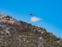 A firefighting helicopter is operating to extinguish flare-ups after the fire that broke out in Athens, Greece, on August 11, 2024, in the N...