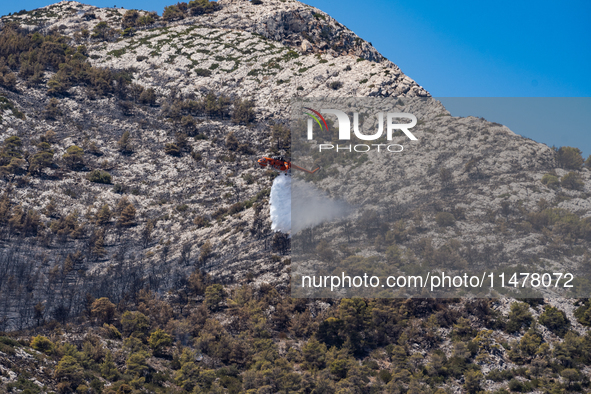 A firefighting helicopter is operating to extinguish flare-ups after the fire that broke out in Athens, Greece, on August 11, 2024, in the N...