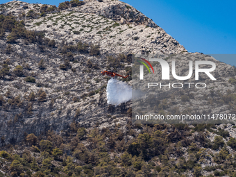 A firefighting helicopter is operating to extinguish flare-ups after the fire that broke out in Athens, Greece, on August 11, 2024, in the N...