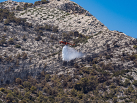 A firefighting helicopter is operating to extinguish flare-ups after the fire that broke out in Athens, Greece, on August 11, 2024, in the N...