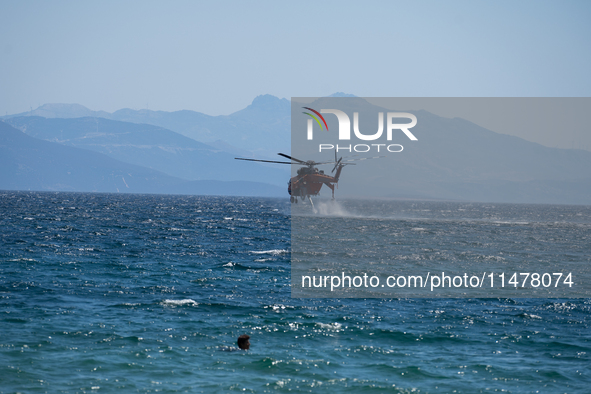 A firefighting helicopter is collecting water from the sea in Nea Makri, Greece, on August 14, 2024, while battling the flare-ups of the fir...