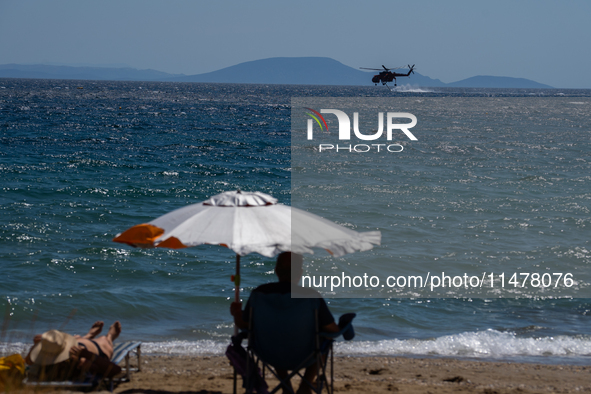 A swimmer is enjoying the sea while a firefighting helicopter is collecting water from it in Nea Makri, Greece, on August 14, 2024, as it is...