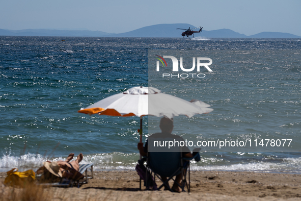 A swimmer is enjoying the sea while a firefighting helicopter is collecting water from it in Nea Makri, Greece, on August 14, 2024, as it is...