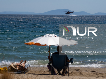 A swimmer is enjoying the sea while a firefighting helicopter is collecting water from it in Nea Makri, Greece, on August 14, 2024, as it is...