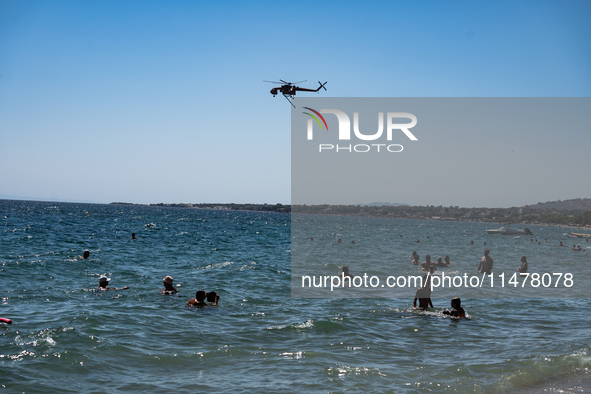 Swimmers are enjoying the sea while a firefighting helicopter is collecting water from it in Nea Makri, Greece, on August 14, 2024, as it is...