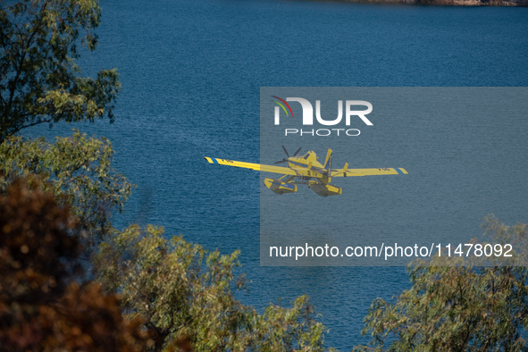 A firefighting plane is collecting water from Marathon Lake to extinguish flare-ups in Marathon, Greece, on August 14, 2024 