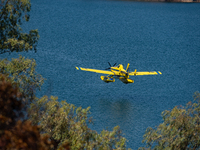 A firefighting plane is collecting water from Marathon Lake to extinguish flare-ups in Marathon, Greece, on August 14, 2024 (