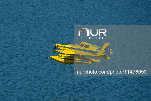 A firefighting plane is collecting water from Marathon Lake to extinguish flare-ups in Marathon, Greece, on August 14, 2024 