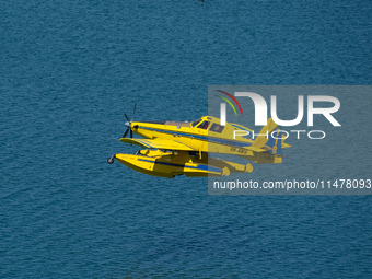 A firefighting plane is collecting water from Marathon Lake to extinguish flare-ups in Marathon, Greece, on August 14, 2024 (