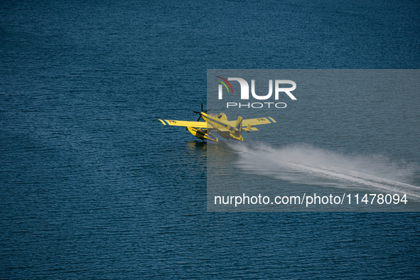 A firefighting plane is collecting water from Marathon Lake to extinguish flare-ups in Marathon, Greece, on August 14, 2024 