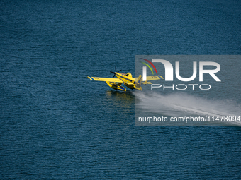 A firefighting plane is collecting water from Marathon Lake to extinguish flare-ups in Marathon, Greece, on August 14, 2024 (