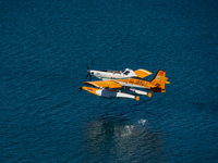 A firefighting plane from Turkey is collecting water from Marathon Lake to combat the flare-ups in Marathon, Greece, on August 14, 2024 (