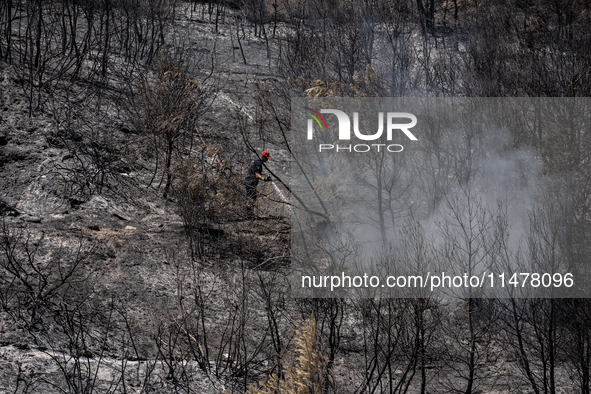 A firefighter is extinguishing a flare-up on Mount Penteli in Greece, on August 14, 2024 