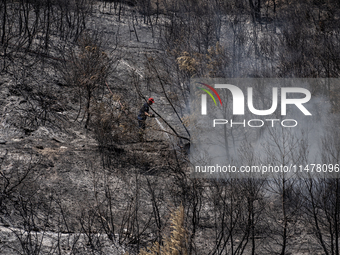 A firefighter is extinguishing a flare-up on Mount Penteli in Greece, on August 14, 2024 (