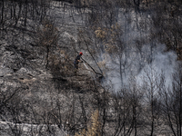 A firefighter is extinguishing a flare-up on Mount Penteli in Greece, on August 14, 2024 (