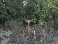 The 'Danger! Mines!' sign is standing in Kamianka village, Kharkiv region, Ukraine, on August 14, 2024, which was destroyed by Russian troop...