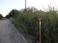 The 'Danger! Mines!' sign is standing in Kamianka village, Kharkiv region, Ukraine, on August 14, 2024, which was destroyed by Russian troop...