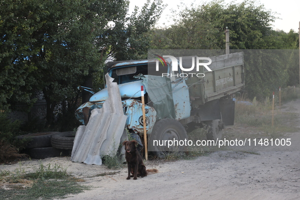 A dog is sitting by a destroyed truck left on the roadside in Kamianka village, Kharkiv region, Ukraine, on August 14, 2024, which was destr...