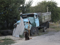 A dog is sitting by a destroyed truck left on the roadside in Kamianka village, Kharkiv region, Ukraine, on August 14, 2024, which was destr...