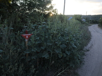 The 'Danger! Mines!' sign is standing in Kamianka village, Kharkiv region, Ukraine, on August 14, 2024, which was destroyed by Russian troop...