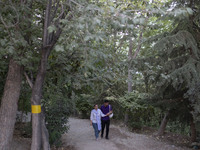 An Iranian couple is walking together along a park in central Tehran, Iran, on August 15, 2024. (