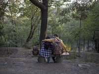 Iranian youths are sitting together at a park in central Tehran, Iran, on August 15, 2024. (