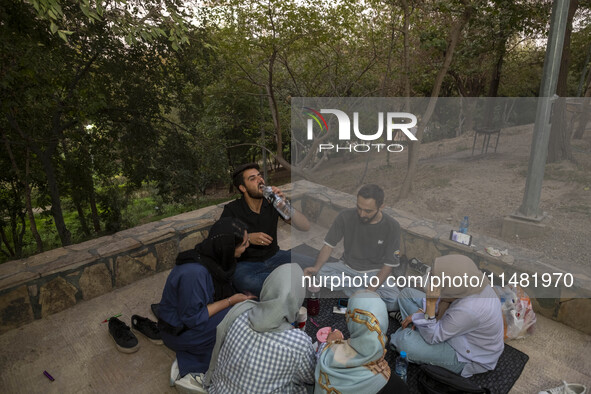 Iranian youths are celebrating a birthday while camping at a park in central Tehran, Iran, on August 15, 2024. 