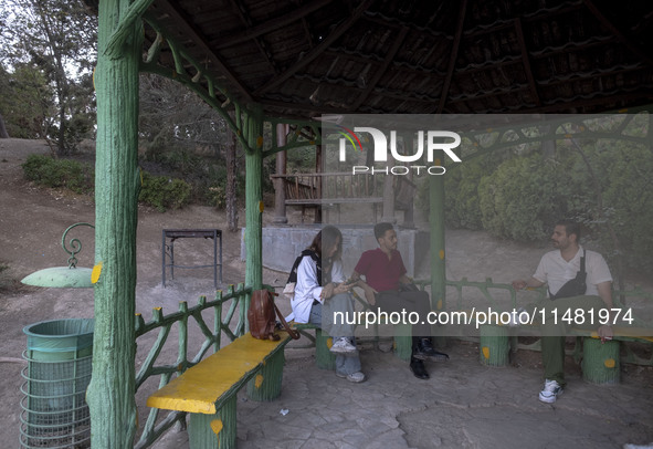 Iranian youths are sitting together at a park in central Tehran, Iran, on August 15, 2024. 