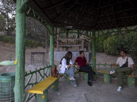 Iranian youths are sitting together at a park in central Tehran, Iran, on August 15, 2024. (