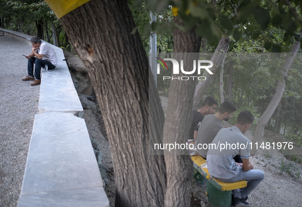 Iranian youths are sitting together at a park in central Tehran, Iran, on August 15, 2024. 