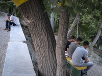 Iranian youths are sitting together at a park in central Tehran, Iran, on August 15, 2024. (